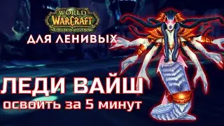 Змеиное Святилище тактика Леди Вайш  The Burning Crusade для ленивых