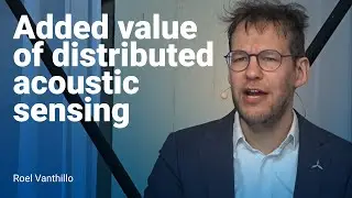 Added value of distributed acoustic sensing - Roel Vanthillo (Marlinks)