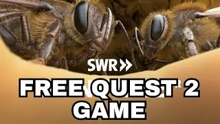BECOME A HONEY BEE IN VR | FREE QUEST 2 GAME