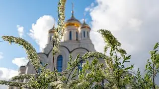 Литургия. Владимирской иконы Пресвятой Богородицы