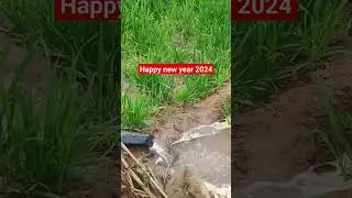 #happy new year 2024#shortsfeed #shortvideo #trending #ytshorts #farmer #music #arijitsingh #shorts