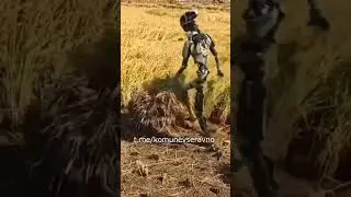 Когда-то будет так