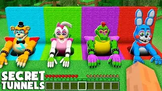 WHO is HIDDING in THESE Super SECRET TUNNELS in Minecraft ! GAMEPLAY FNAF FREDDY CHICA CROCO BANNY