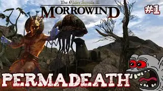 My FIRST Morrowind Permadeath Run EVER!