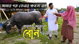 আমার গরু কেনার ক্ষমতা নাই তারপর আমার বোন কি করলো #shafins #spokenenglish