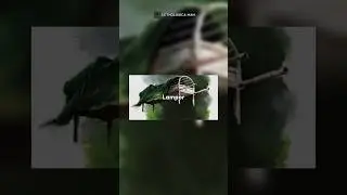 Misteri Keranda Terbang : Lampor 