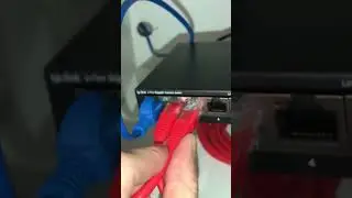 TP LINK GIGABIT SWITCH (TURN 1 CABLE INTO 4!!!!)