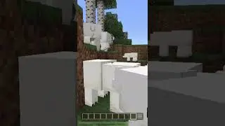 ПОДПИШИСЬ ИЛИ ТЕБЯ СЪЕСТ МЕДВЕДЬ!🐻 