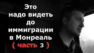 Это надо видеть до иммиграции в Монреаль ( часть 3 ) / Блогер и Хаски / Блогер БН