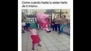 los extrañe mis gatitos lols