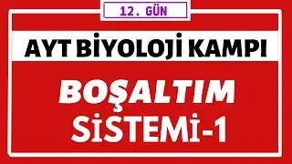 Boşaltım Sistemi 1 | AYT BİYOLOJİ KAMPI | 12.gün |