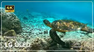 LG TVs | DEMO video in 8K HDR 60 Fps 2023 | Hawaii
