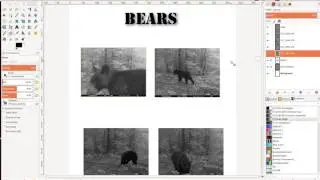 Gimp Put Images in Image Resize Add Text And More