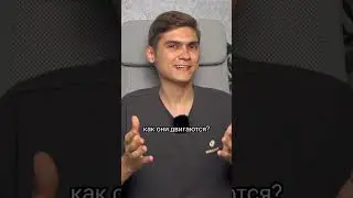 ЗОМБИ-апокалипсис ВОЗМОЖЕН?! | Интересные факты #биология