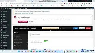 General Theme Options  For  Restly WordPress Theme