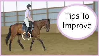 How To Post The Trot Without Stirrups 🐎