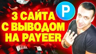 Проверенный заработок на Payeer. Как заработать на Пайер кошелёк