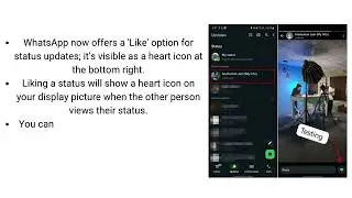 How to Like WhatsApp Status Updates