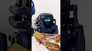 The robots wanted different snack😡