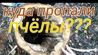 Куда пропали пчёлы? Изготовление колоды серия2.