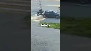 В Мурманске кот спровоцировал ДТП. #топор #shorts #новости