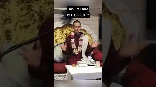 Зачем нам интеллект? #ачьютадас #Кришна #веды #йогa #интеллект