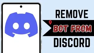 How To Remove a Bot From Discord Server