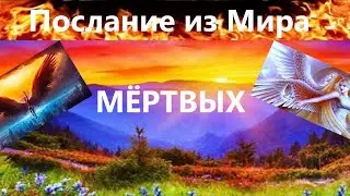 🔥СРОЧНО! ДЛЯ ВАС ИДЁТ ПОТОК ИНФОРМАЦИЯ  из МИРА МЁРТВЫХ!   Вивиена таро