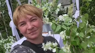 ЧЕШИРЫ. ЖИЗНЬ ПРОДОЛЖАЕТСЯ. ИЗ РОССИИ В ПОЛЬШУ