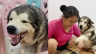 Baby care demon! What can not do, quarrel first