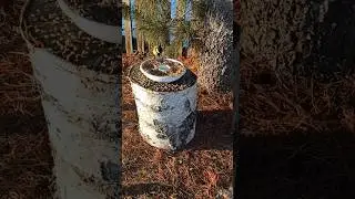 Кормим птичек зимой 🐦12 ноября 2023 г.