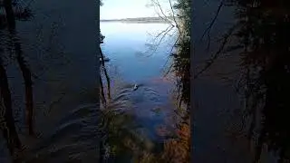 остановились на ночёвку.