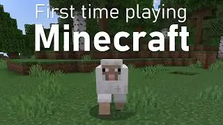 First time playing Minecraft! | 1