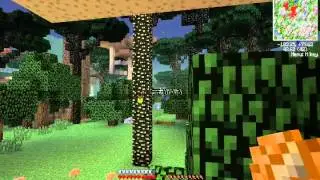 Krypto11- Ready to Die! -Wither Edition-