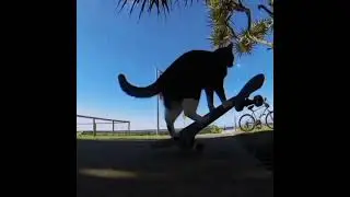 orange soda - sped up