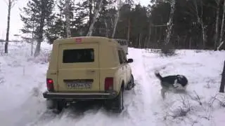 Покатушки по сугробам, Инкассатор Лаура Нива в каштаке, хэлп ми))))