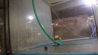 FishHotel