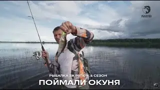 Поймали судака и пожарили прямо в лодке / Рыбалка за рулем / 6 сезон. 17 серия