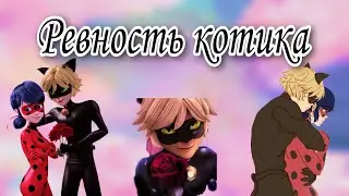 Переписка «Ревность котика» 2 часть