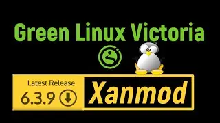 Green Linux 21.2 Pro Xanmod & Linux Mint 21.2 Victoria Cinnamon | Настройка сети network resolv.conf