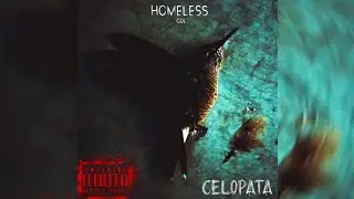 Homeless GDL - CELOPATA