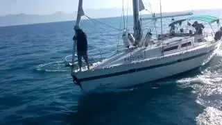 Геленджик Голубая Бухта - Встреча с дельфинами