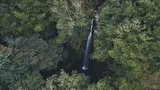 DJI Mini 2 video test