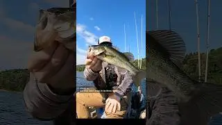 Fishing in a $3000 Kayak #shorts #fishing