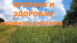 ПЕРЕЛИВЧАТОЕ ПЕНИЕ ПТИЦЫ СЛАВКИ ДОСТАВИТ ВАМ МНОГО ПОЛОЖИТЕЛЬНЫХ ЭМОЦИЙ.НЕРВНАЯ СИСТЕМА УСПОКОИТСЯ.