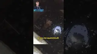 Спасли щенка, упавшего в канализацию 🥹 