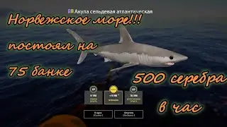 Фармлю на Норвежском море (75 банка) #рр4 #русская рыбалка 4 #медведь на рыбалке #норвежское море