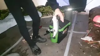 ДЕНЬ БЕЛОЙ РЫБЫ!!! РЫБАЛКА НА СЕВЕРЕ!!!