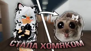 играю за ХОМЯЧКА в мм2 | геймплей ➤ murder mystery 2