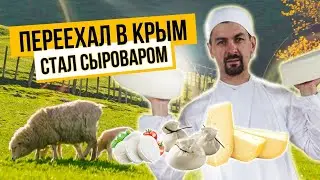 Содержание овец для сыроварни | Как готовят французские и итальянские сыры | Фермерское дело